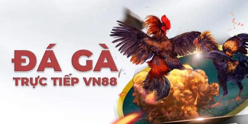 Giới thiệu game đá gà Vn88 online
